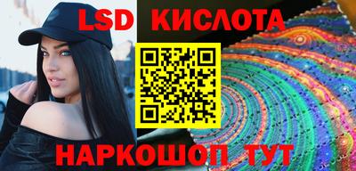 амф Сланцы