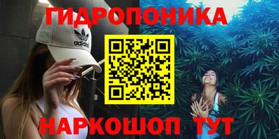 эйфоретик Аргун