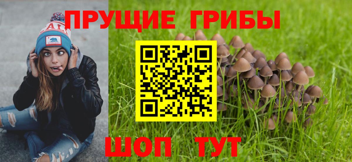 Галлюциногенные грибы мицелий  Родники 