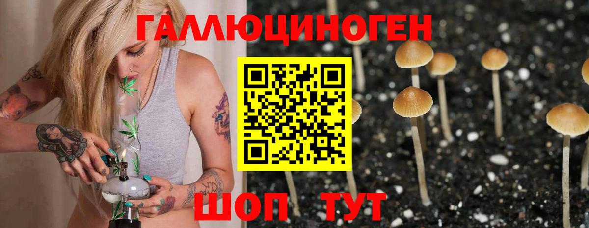 Галлюциногенные грибы ЛСД  Вход с VPN  Родники  Галлюциногенные грибы мицелий 